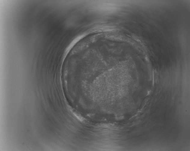 X0000080180147200612302254