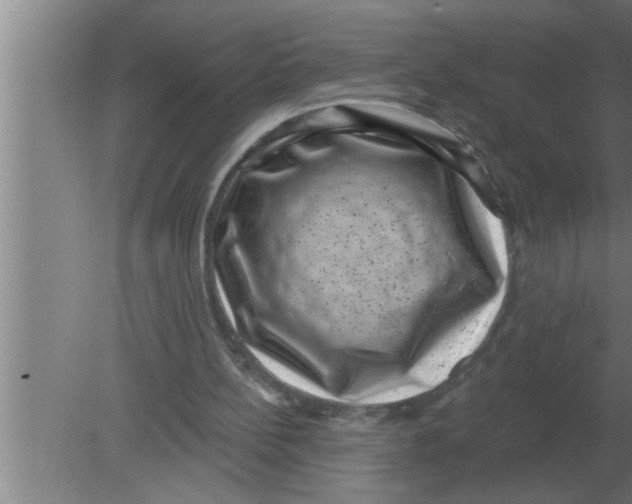 X0000080180148200612302254