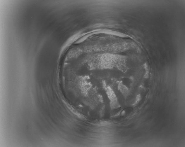 X0000080180149200612302254