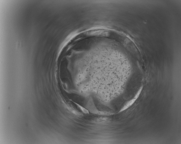 X0000080180152200612302254