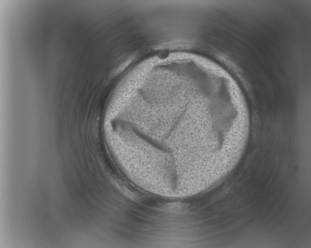 X0000080180153200612302254