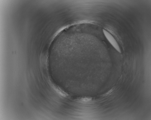 X0000080180156200612302254