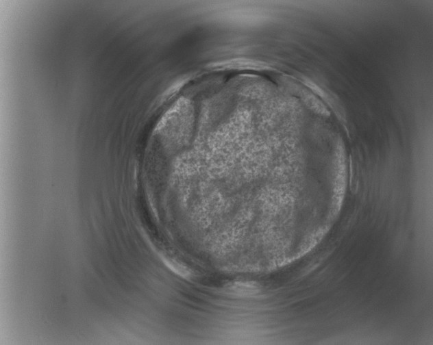 X0000080180157200612302254