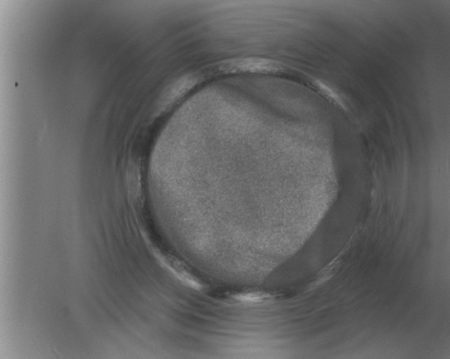 X0000080180158200612302254