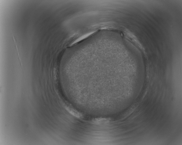 X0000080180161200612302254