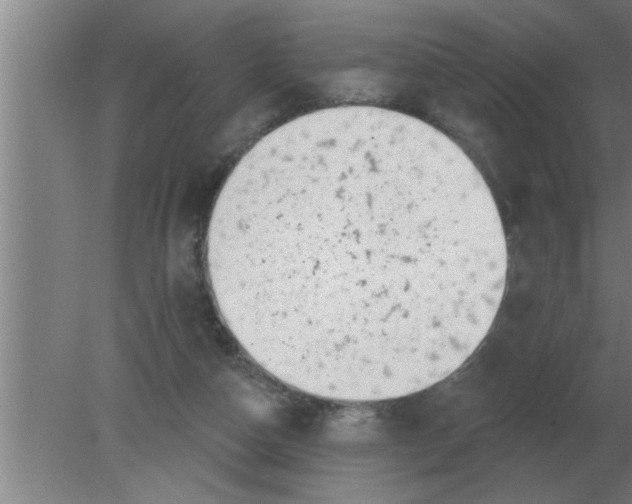 X0000080180162200612302254