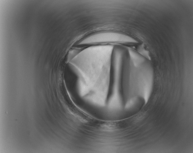 X0000080180164200612302254