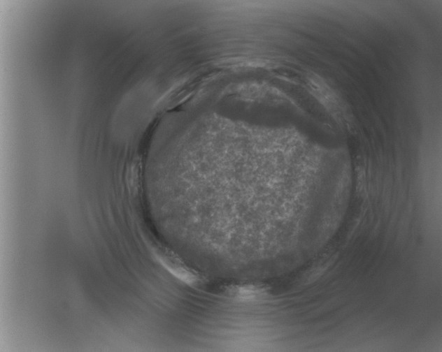 X0000080180165200612302254