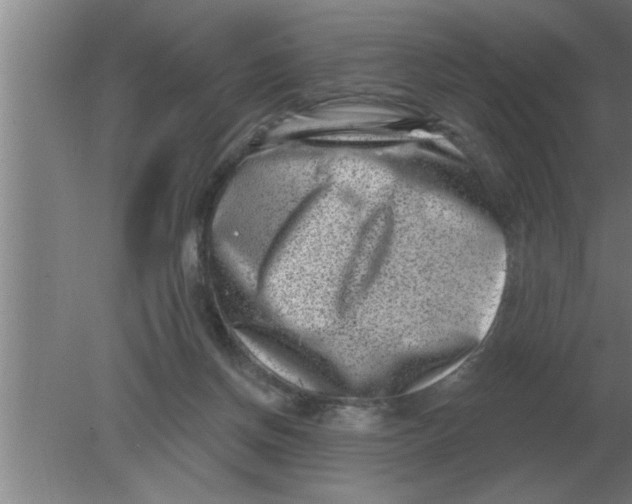 X0000080180166200612302254