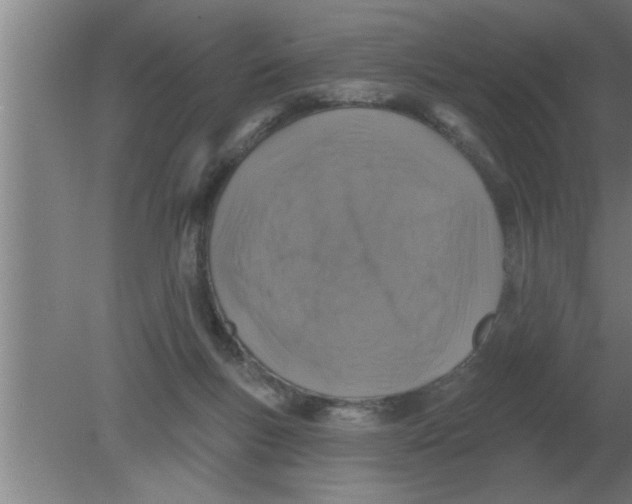 X0000080180167200612302254