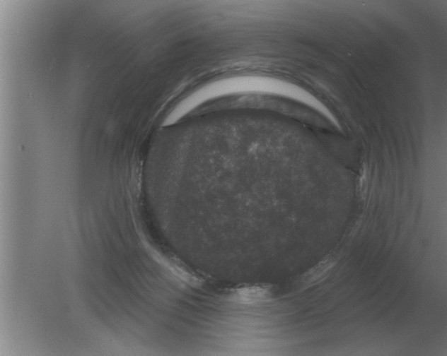 X0000080180168200612302254