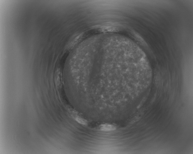 X0000080180169200612302254