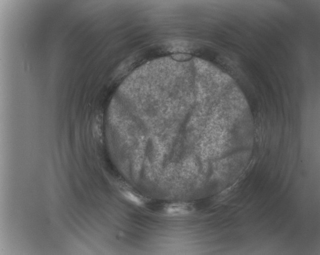 X0000080180175200612302254