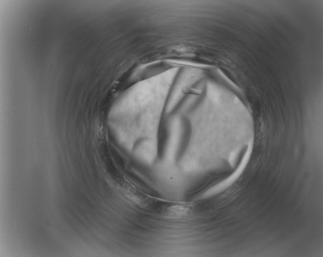 X0000080180176200612302254