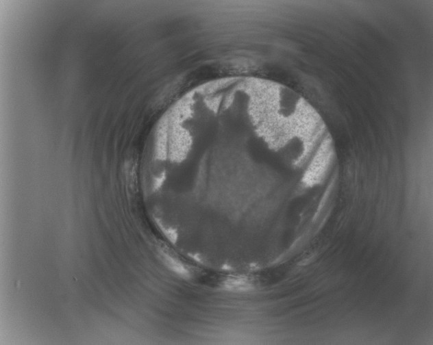 X0000080180177200612302254