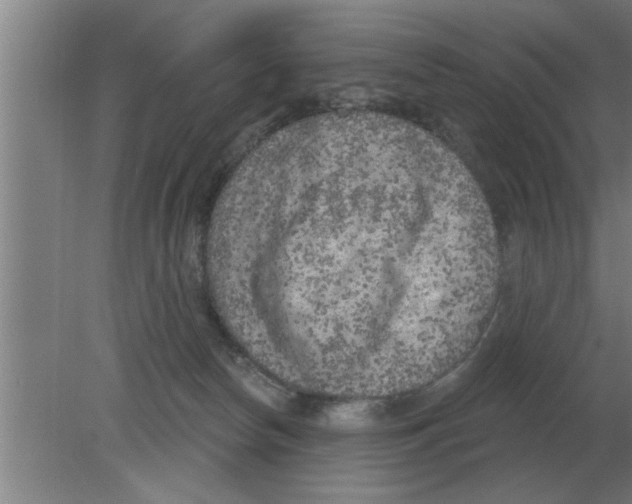 X0000080180178200612302254