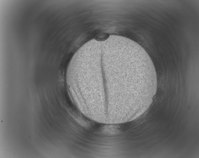 X0000080180179200612302254