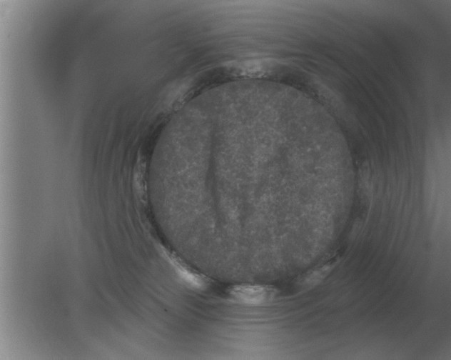 X0000080180181200612302254