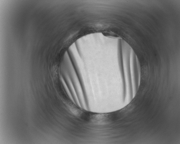 X0000080180184200612302254