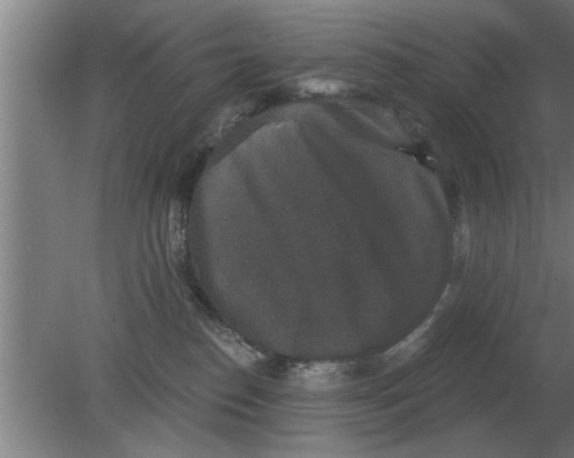 X0000080180186200612302254