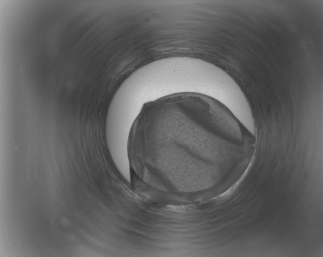 X0000080180190200612302255