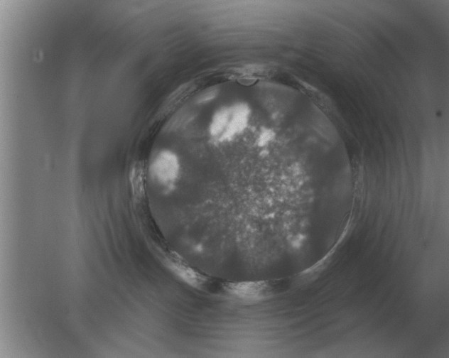 X0000080180191200612302255