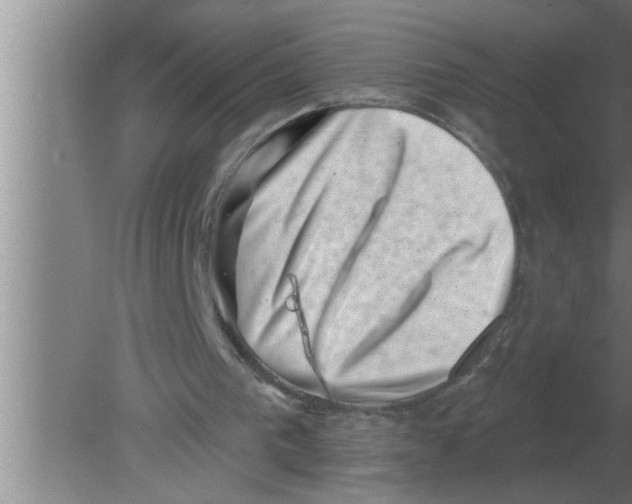 X0000080180193200612302254