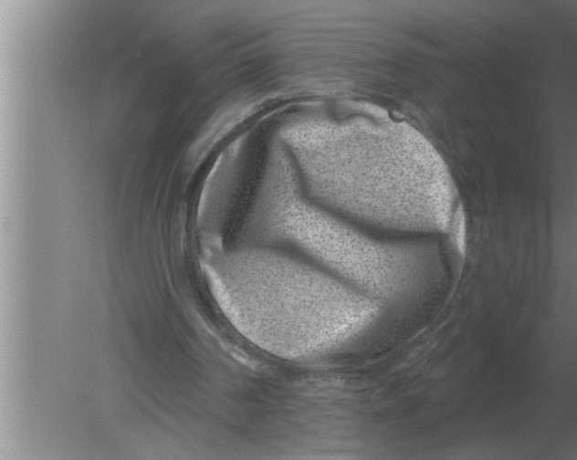 X0000080180194200612302254