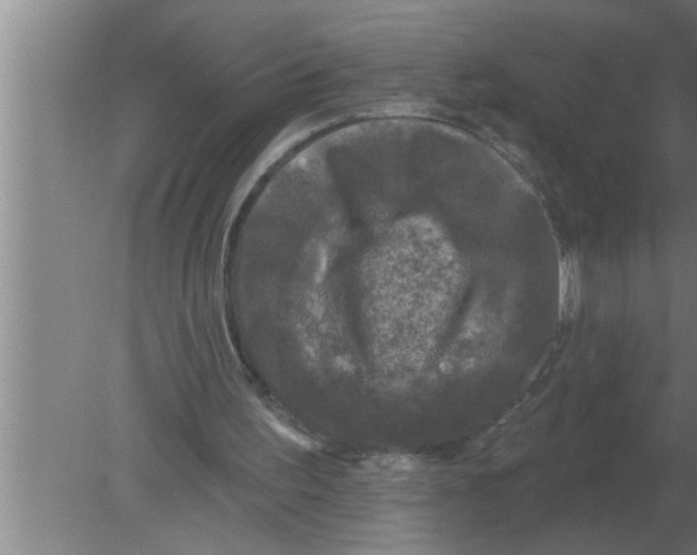 X0000080180195200612302254