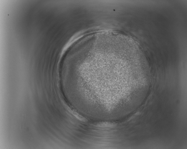 X0000080180198200612302254