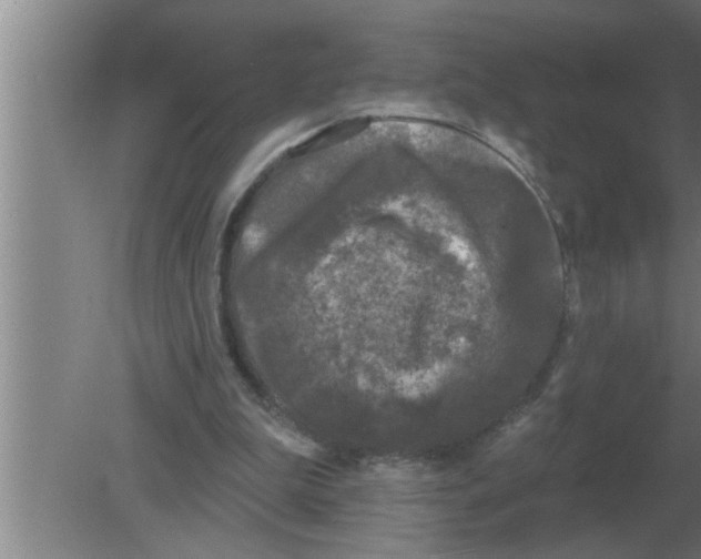 X0000080180199200612302254