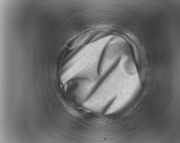 X0000080180201200612302254