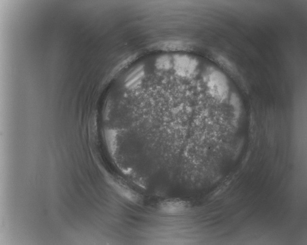 X0000080180202200612302254