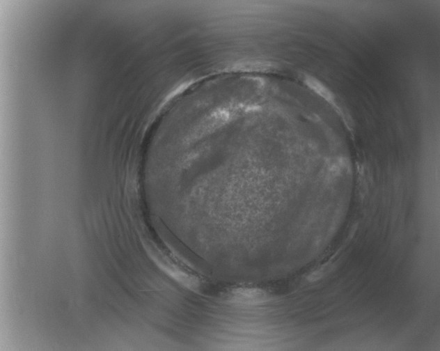 X0000080180203200612302254