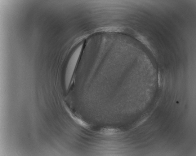 X0000080180205200612302254