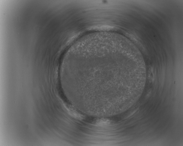 X0000080180206200612302254