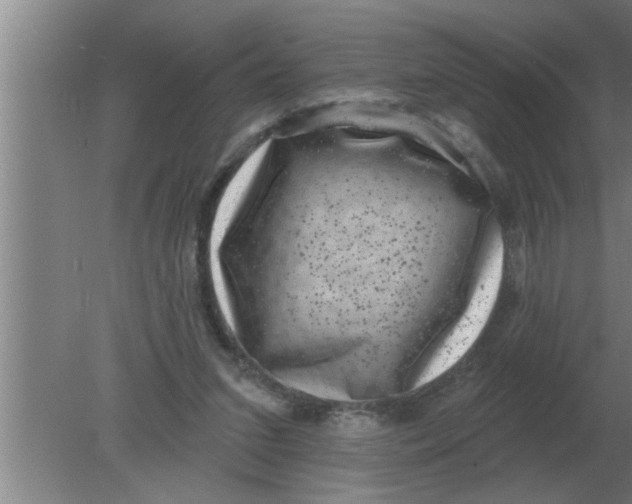 X0000080180207200612302254