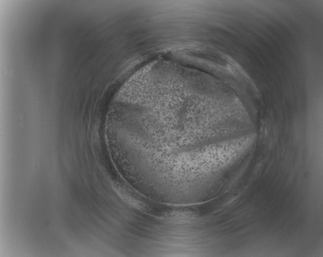 X0000080180209200612302253