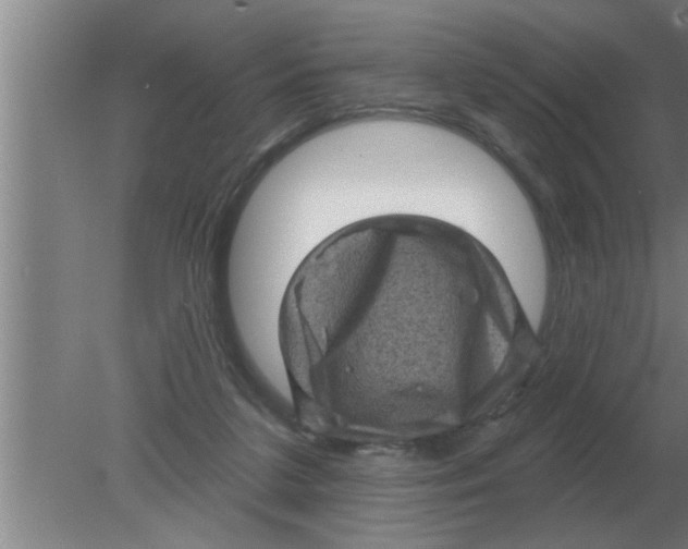 X0000080180211200612302253