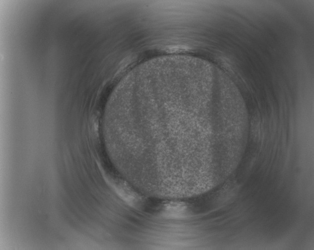 X0000080180214200612302253