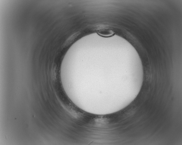 X0000080180216200612302253