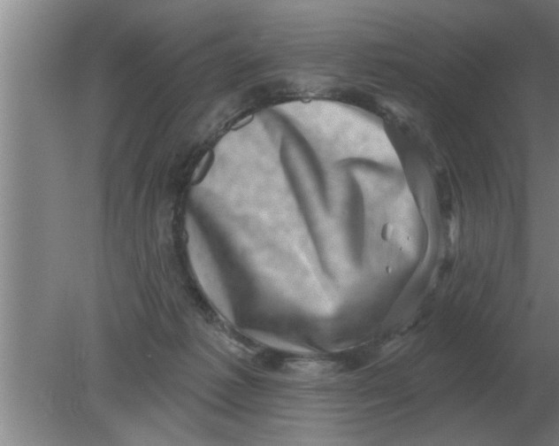 X0000080180221200612302253