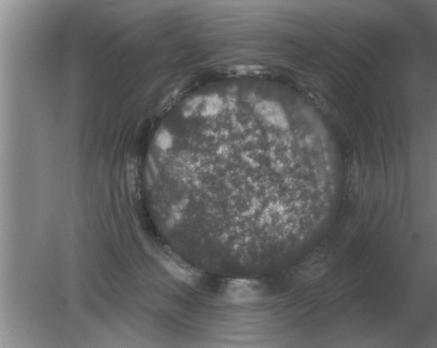 X0000080180222200612302253