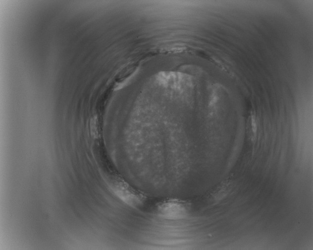 X0000080180224200612302253