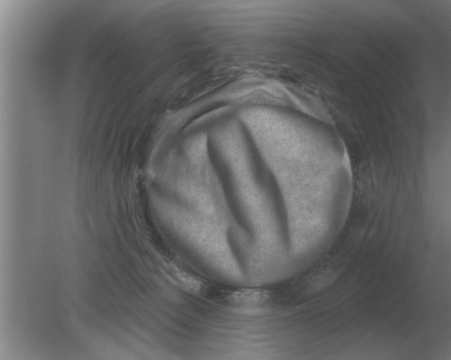 X0000080180225200612302253