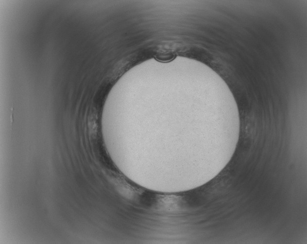 X0000080180226200612302253