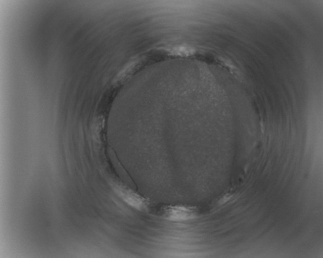 X0000080180229200612302253