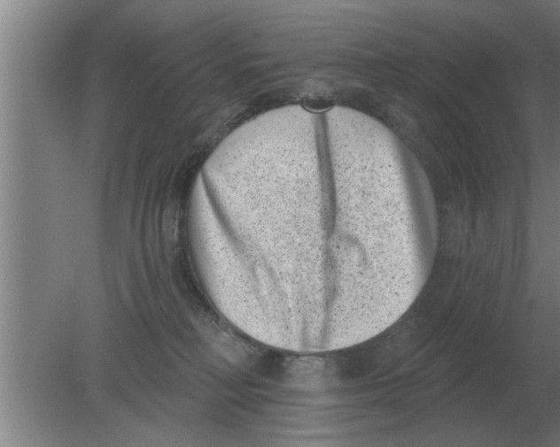 X0000080180230200612302253