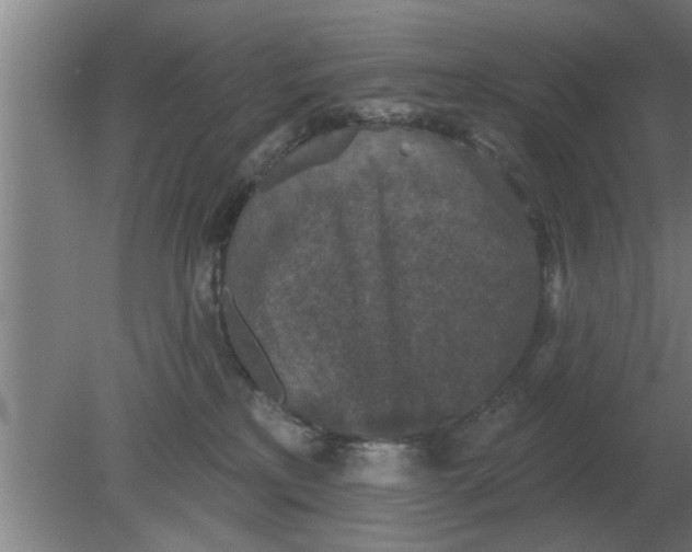 X0000080180233200612302253