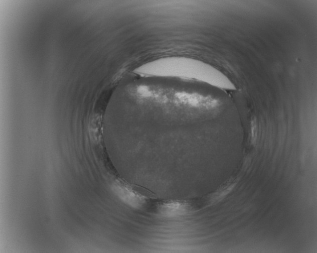 X0000080180237200612302253